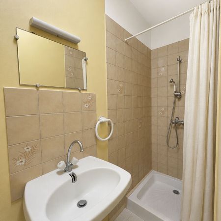 Location Appartement 1 pièce 26m² - Photo 3