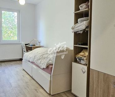 2 pokoje na wynajem, niski parter, Warszewo - Photo 2