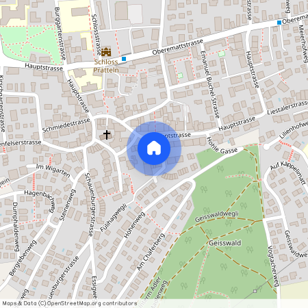 4133, Pratteln, Haldenweg, 2