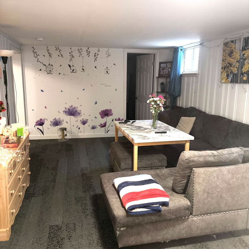 For Lease - 45 CARTIER Crescent Unit# BASEMENT, Richmond Hill, Ontario - Photo 1