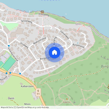 3700, Spiez, Bürgstrasse