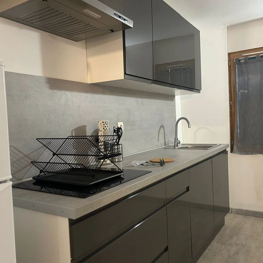 Location Appartement 1 pièces à Perpignan - Photo 1