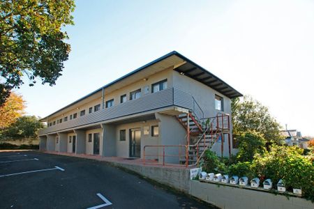 Sunny, quiet apartment close to Waikato Hospital - Photo 5