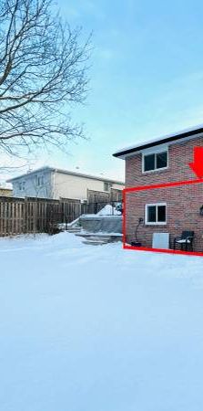 WALK-OUT BASEMENT APARTMENT**2-BEDROOM**NEWMARKET - Photo 1