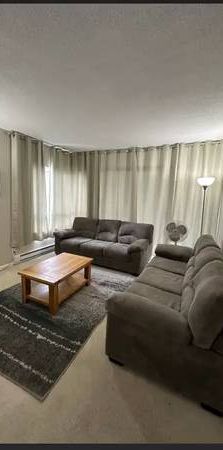 Furnished condo available for rent (2 bed, 2 bath) - Photo 1