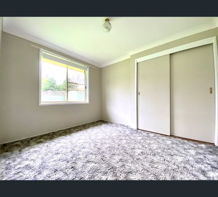 16 Jemmy Pl, Tamworth, NSW 2340 - Photo 2