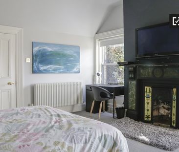 Quiet studio flat to rent in Terenure, Dublin - Photo 4