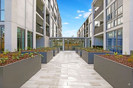 403a/72 Ascot Vale Road, Flemington VIC 3031 - Apartment For Rent | Domain - Photo 5