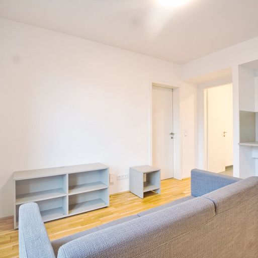 möblierte Apartments zur Kurzzeitmiete (2-12 Monate) / furnished apartments for short-term rental (2-12 months) - Foto 1