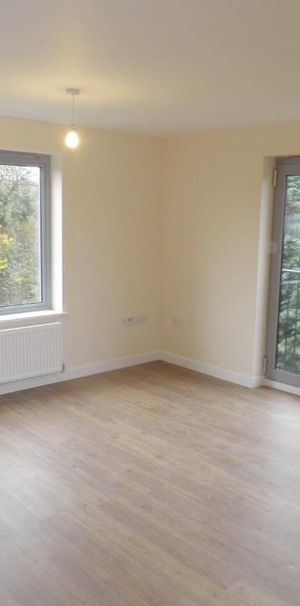 Swaffham Road - Photo 1