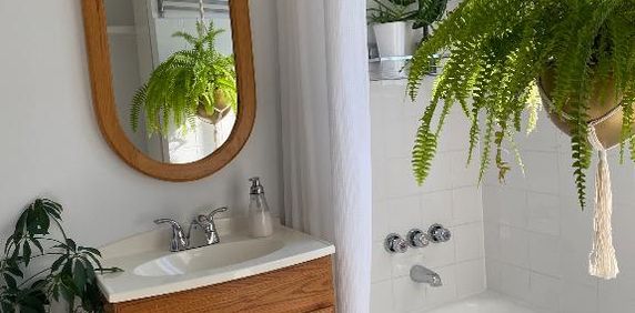 Superbe et grand 4 1/2 TRÈS lumineux et tranquille - Photo 2