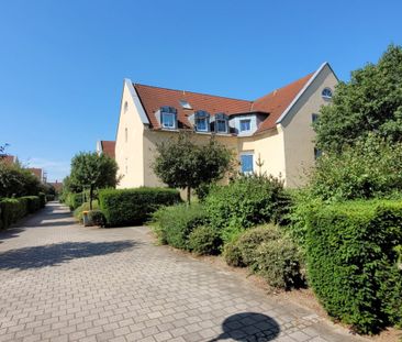 Hübsche 1-Zi-Wohnung mit Laminatboden und Balkon in ruhiger und grü... - Photo 4