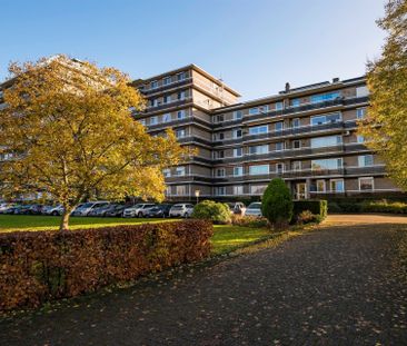 Leuk 1-slaapkamer appartement in Ekeren op top locatie - Photo 3