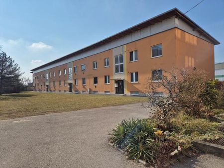 Nette 2-Zimmerwohnung, 43 m² WNFL, inkl. neuer Küche, Parkplätze vor dem Haus, schöner Allgemeingarten! - Foto 4