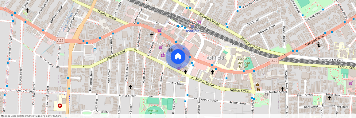 193 Liverpool Rd Ashfield, Sydney, New South Wales 2131