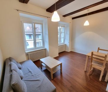 Petit mais agréable, en plein bord de Rhin ! - Photo 3