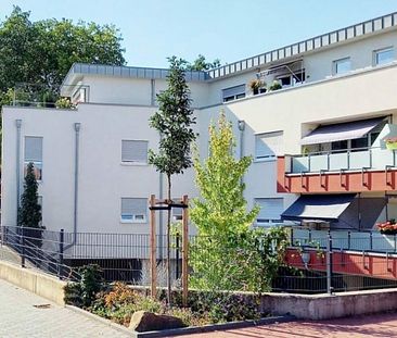 Hochstrasse 59, Erdgeschoss, Wohnung 05 - Foto 3