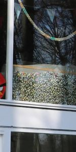 Schildpatio - Foto 3