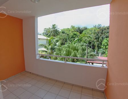 Location Appartement 1 pièce 20m² CAYENNE 97300 - Photo 5