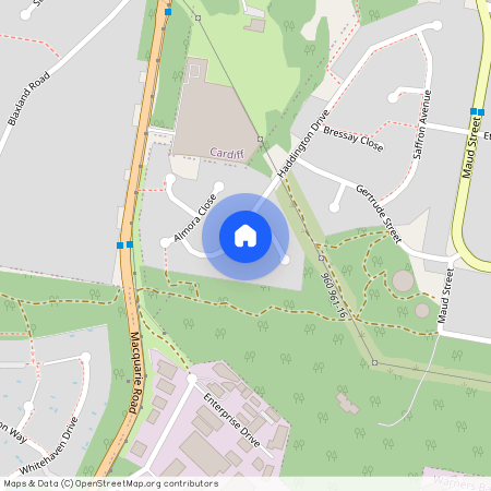 24 Haddington Drive, NSW 2285, Cardiff South