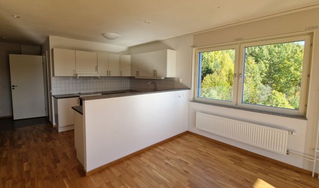 Granloholmsvägen, Sundsvall - Foto 1