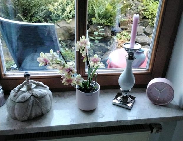Suche einen Nachmieter für meine schöne Wohnung in Heinebach - Foto 1