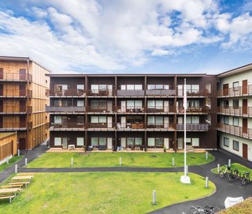 Takläggaregatan, Norrköping - Foto 4