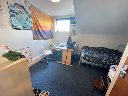 6 Bed Terraced House, Roebuck Road, S6 - Photo 4