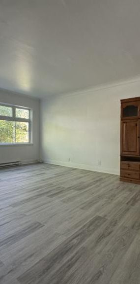 6 1/2 - Montréal - 2 800 $/mois - Photo 1