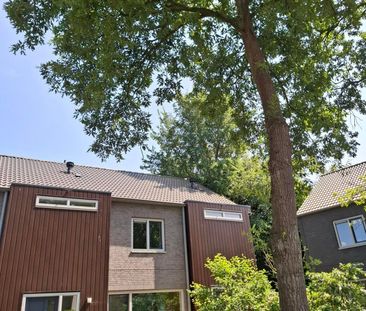 Stierop 8, Saenegheest, 1862JL, Bergen (Nh) - Photo 6