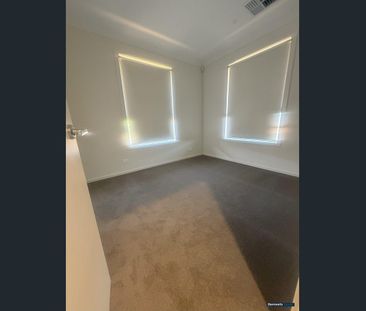 Brand New 4 Bedroom Home Walking Distance to Shops - Photo 5