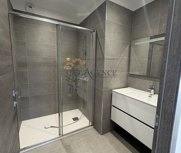 Location Appartement 3 pièces 80m² BIGUGLIA 20620 - Photo 3