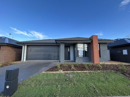 SELF CONTAINED ROOM WITH OWN EN-SUITE - INCLUSIVE OF ALL UTILITIES ! - Photo 2