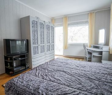 Normafa út - Photo 3