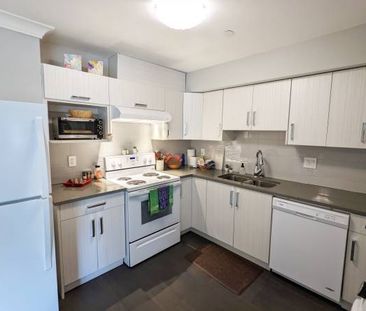 Pet friendly suite in White Rock near the beach, available Apr 1! - Photo 3