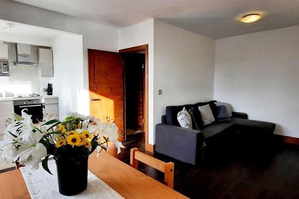 Holland Road - Photo 1