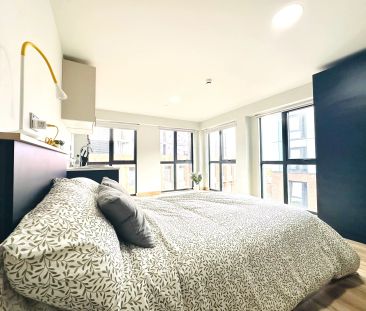 Sequoia Studio - Photo 4