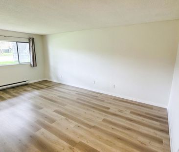 Pinetree Apartments - Photo 4