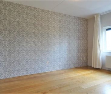 Walter Kollolaan - Foto 6