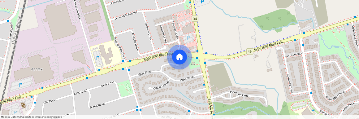 431 Oceanside Avenue, Richmond Hill