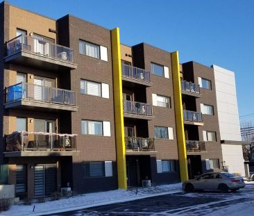 1 CH - 1 SDB - Longueuil - $1,600 /mo - Photo 1