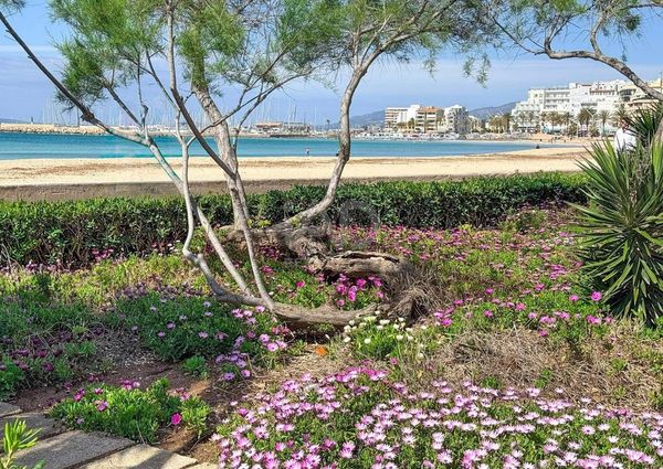 Palma de Mallorca, Balearic Islands 07610