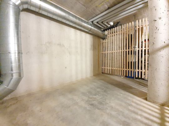 3.5 room apartment n°B1- on the ground floor - 01.03.2026 - Photo 1