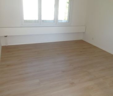 Neu sanierte 2 Zimmerwohnung - Foto 4