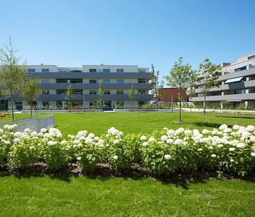 3.5 Zimmerwohnung in Romanshorn - Photo 1