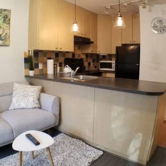 Cozy Furnished 1 Bedroom Apartment in Downtown/Yaletown - Photo 1