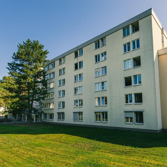 Möbliertes Studentenzimmer in Mannheim! - Photo 1