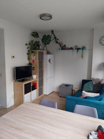 Room Amsterdam - Andreasplein - Photo 4
