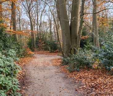 Appartement te huur: Molenweg 50-215 3708 SG Zeist - Foto 3