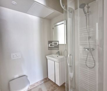 Location Appartement 1 pièce 13m² COUZON AU MONT D OR 69270 - Photo 4